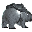 0_00070.png BEAR POLAR - DOWNLOAD BEAR 3d model - animated for blender-fbx-unity-maya-unreal- CINEMA4d -3ds max - 3D printing BEAR DINOSAUR POLAR BEAR HORSE MONSTER CLAWS ROAD RUNNER PREHISTORIC HUNTER