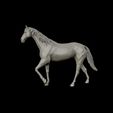17.jpg Thoroughbred Horse model 3D print model