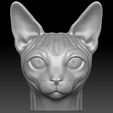 2.jpg Sphynx cat head for 3D printing
