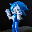 foto2.jpeg Articulated Sonic the Hedgehog