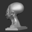 Cattura3.PNG Alien Bust Figurine Reproduction Alien found in the 50s in South America