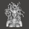 傲游截图20190615182337.jpg Medusa Head
