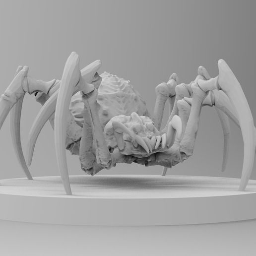 Tamed Australian Spiderlings 3D model