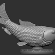 Screenshot-2025-12-22-162512.png Fish