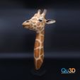 4342312220.jpg Giraffe - 3D print model