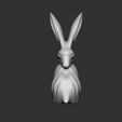 01.jpg Decorative Rabbit