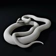 pose2full-min.jpg Black Mamba Venomous Snake Reptile
