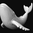 07.png Whale
