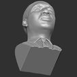 21.jpg Martin Luther King bust 3D printing ready stl obj