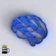 9.jpg FONDANT COOKIE CUTTER MOLD OF HUMAN BODY ORGANS BRAIN 3D IMPRESSION MODEL