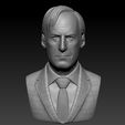 saul9.jpg Jimmy Mcgill/Saul Goodman