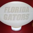 IMG_20231101_180401332.jpg Florida Gators College Football Light
