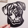 20230204_164944.jpg Cane Corso Dog Wall Art Large Dog Breed Wall Decor