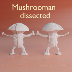 Mushroom-dissected-1.png Fichier STL Champignonan, créature champignon disséquée・Modèle pour imprimante 3D à télécharger