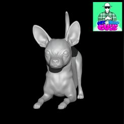 Chihuahuacults1.jpg Fichier STL Chien Chihuahua・Modèle pour imprimante 3D à télécharger, petshopguysstl