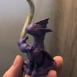 45591.jpg Elderberry - Purple Dragon