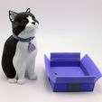 cults3d_cats4.jpg Schrodinky: British Shorthair Cat in a Box – 3D Printable, Multi Part Model - MULTI EXTRUSION PACKAGE