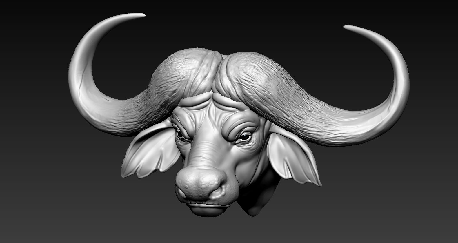 Download Stl File African Buffalo Head01 • Template To 3d Print ・ Cults