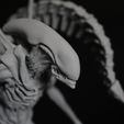 IMG_9737.jpg Alien Xenomorph Scout 3D Print Model 3D print model