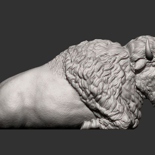 bison8.jpg Bison 3D-Druckmodell