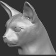 11.jpg Abyssinian cat head for 3D printing