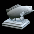 White-grouper-open-mouth-1-43.png fish white grouper / Epinephelus aeneus trophy statue detailed texture for 3d printing