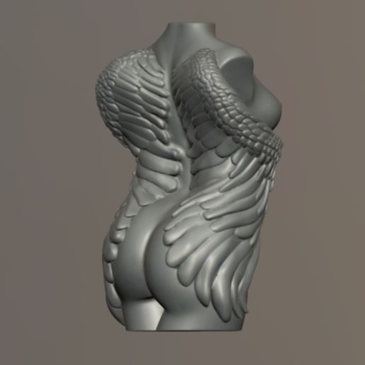Wing_fem_torso_4.jpg Torso feminino com asas