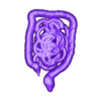bowel.stl Menschliches Skelett