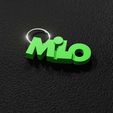 MILO.jpg MILO - Keyring