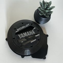 IMG_2884.jpg Fichier STL COUVERCLE D'ALLUMAGE 50CC AM6・Design à télécharger et à imprimer en 3D