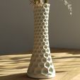 IMG_20240317_080611.jpg Vase Organic11