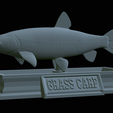 Grass-carp-statue-36.png fish grass carp / Ctenopharyngodon idella statue detailed texture for 3d printing