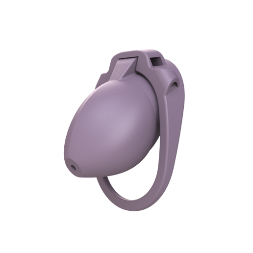 xs_still.png Customizable Chastity Cage