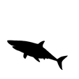 IMG-3655.png Shark silhouette
