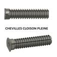 Cheville-cloison-pleine-D9mm-Vis-D4mm-Vignette.jpg Dowels D9mm L40mm Solid partitions for screws D4mm