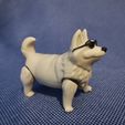 IMG_20220228_165825.jpg Archivo STL FLEXY CORGI・Diseño de impresora 3D para descargar