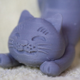 Capture_d__cran_2015-09-07___10.29.23.png Archivo STL gratuito gato elástico・Objeto imprimible en 3D para descargar