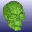 Spook1.jpg Spook Skull 3D Scan (Hollow)