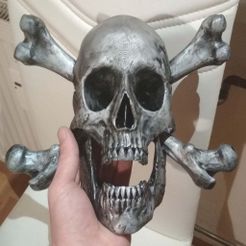 IMG_20191119_204647.jpg Pirate skull