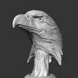 05.png Bald Eagle Head AM07 3D print model