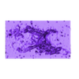 Red Spider nebula.stl Red spider nebulaHubble deep sky object 3D software analysis