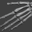 1.png Human Hand Skeleton (Articulated Bones)