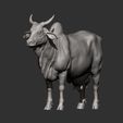 indian-cow8.jpg Indian cow 3D print model
