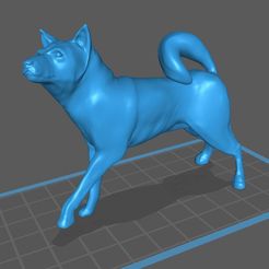 shiba_A01.JPG Télécharger fichier OBJ gratuit Dog Shiba Inu • Modèle imprimable en 3D, nicolasmorant