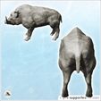 3.jpg Boar (2) - Animal Savage Nature Circus Scuplture High-detailed