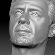 19.jpg Tony Stark Robert Downey Jr Iron Man bust for 3D printing