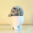20190626_144343.jpg Copa Sip