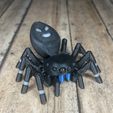IMG_3020.jpg STL file Articulated Jumping Spider _ Print-In-Place Jumping Spider・3D printing design to download
