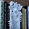 3.png Demogorgon Book Nook - Estante de livros de terror de Stranger Things