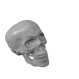 Skull-v1.png Simple Human Skull